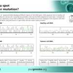 Dna Mutation Practice Worksheet Answers – Ivuyteq Pertaining To Dna Mutations Practice Worksheet Answer