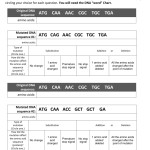 Dna Mutations Practice Worksheet Answer Inside Mutations Worksheet Answer Key