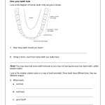Dna Mutations Practice Worksheet Answers - Agaliprogram within Dna Mutations Practice Worksheet Answer