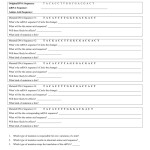Dna Mutations Practice Worksheet – Change Comin Regarding Dna Mutations Practice Worksheet Answer