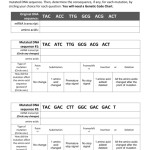 Dna Mutations Practice Worksheet Throughout Gene And Chromosome Mutation Worksheet