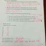 Dna Replication And Protein Synthesis Virtual Lab Sheet Answer Key - Biology Lose Or Gain Water pertaining to Protein Synthesis Worksheet Answers