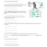 Dna Replication Worksheet Answer Key Quizlet With Dna Replication Review Worksheet