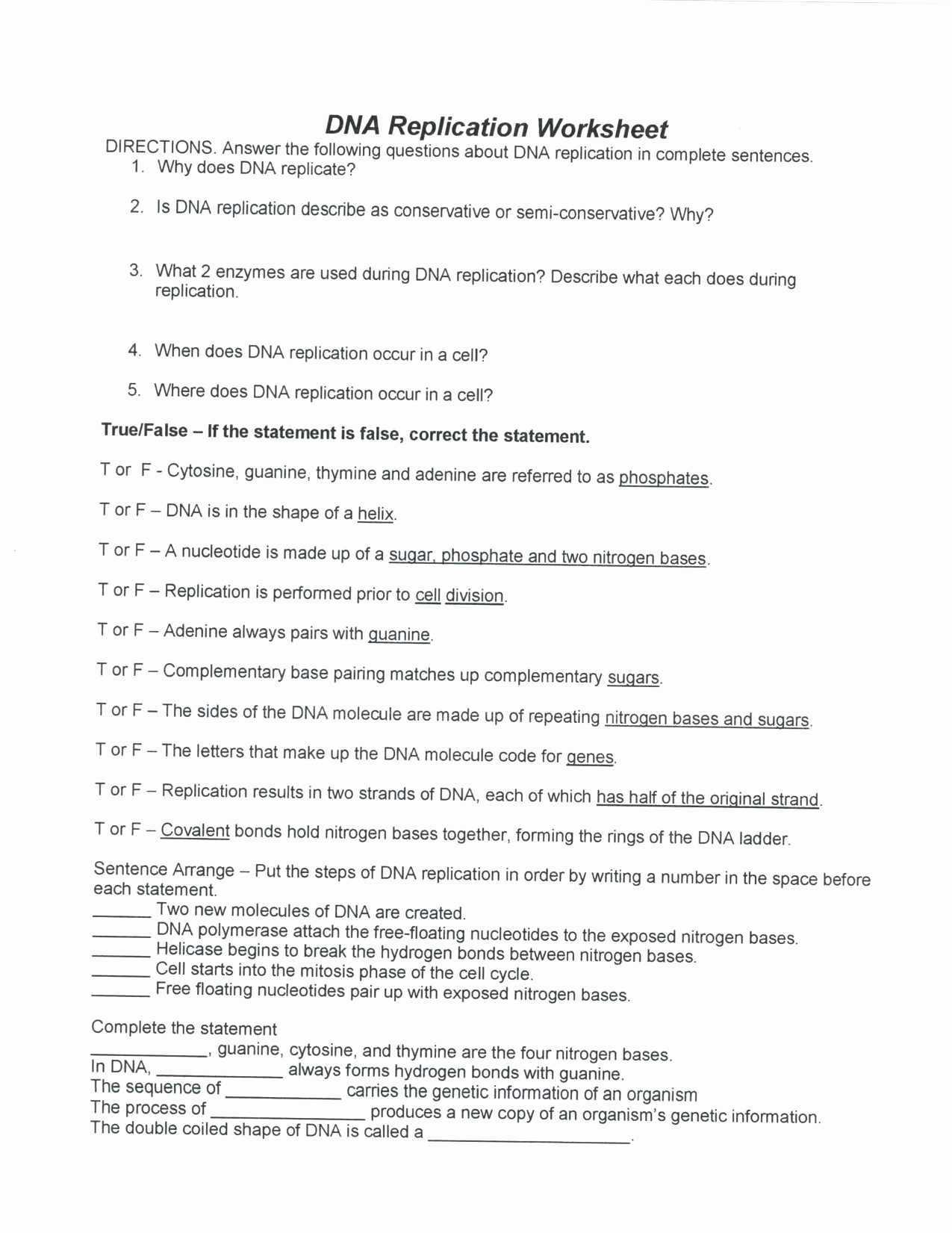 Dna Replication Worksheet Answer Key throughout Dna Structure Worksheet Answer