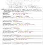Dna Rna And Protein Synthesis Worksheet Answer Key — Db Excel With Regard To Dna And Rna Worksheet Answers