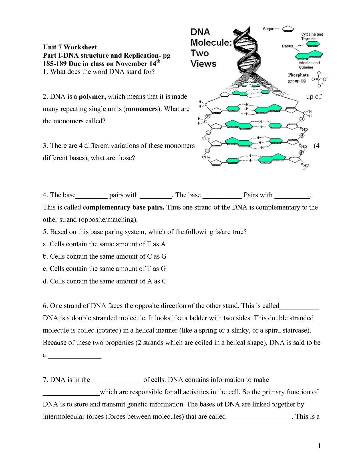 Dna Rna And Protein Synthesis Worksheet Answer Key with Dna And Rna Worksheet
