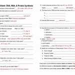 Dna Rna And Protein Synthesis Worksheets Answer Key With Protein Synthesis Worksheet Answers