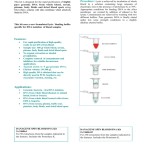 Dna Strawberry Extraction Lab Worksheet : Dna From Strawberries Extraction Procedure Follow Up Within Strawberry Dna Extraction Lab Worksheet