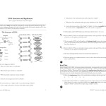 Dna Structure And Replication Worksheet Answer Key — Db Excel With Regard To Dna Structure Worksheet Answer Key