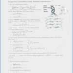 Dna Structure And Replication Worksheet Answer Key – Sanya Patterson Intended For Dna And Replication Worksheet Answers