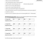 Dna Structure Worksheet Answer Key With Regard To Dna Structure Worksheet Answer