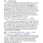 Dna The Double Helix Worksheet – Word Worksheet Regarding Dna The Double Helix Worksheet