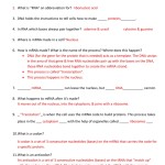 Dna Transcription And Translation Worksheet For Transcription And Translation Practice Worksheet