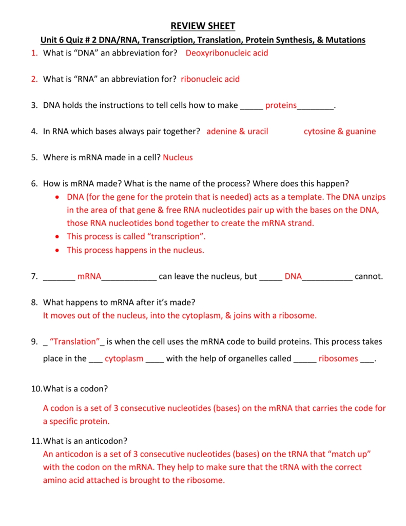 Dna Transcription And Translation Worksheet For Transcription And Translation Practice Worksheet