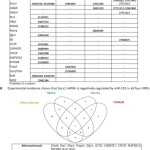 Dna Transcription And Translation Worksheet Within Dna Transcription And Translation Worksheet
