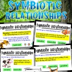 Download File Pdf Symbiotic Relationships Worksheet .Pdf – Vcon.duhs.edu.pk Regarding Symbiotic Relationships Worksheet Good Buddies