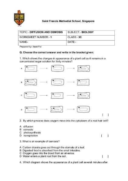 √ 20 Active And Passive Transport Worksheet | Simple Template Design In Active And Passive Transport Worksheet