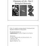 √ 20 Building Macromolecules Worksheet Answers | Simple Template Design with regard to Building Macromolecules Worksheet Answers