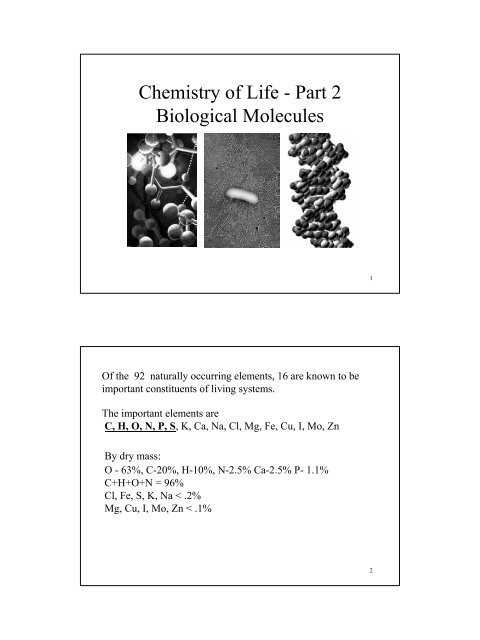 √ 20 Building Macromolecules Worksheet Answers | Simple Template Design with regard to Building Macromolecules Worksheet Answers