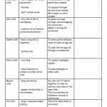 √ 20 Characteristics Of Functions Worksheet | Simple Template Design Pertaining To Characteristics Of Functions Worksheet