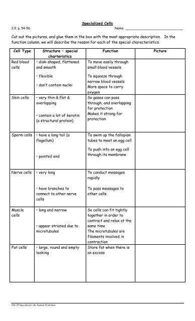 √ 20 Characteristics Of Functions Worksheet | Simple Template Design Pertaining To Characteristics Of Functions Worksheet