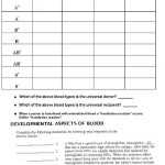 √ 20 Codominance Worksheet Blood Types | Simple Template Design Regarding Codominance Worksheet Blood Types