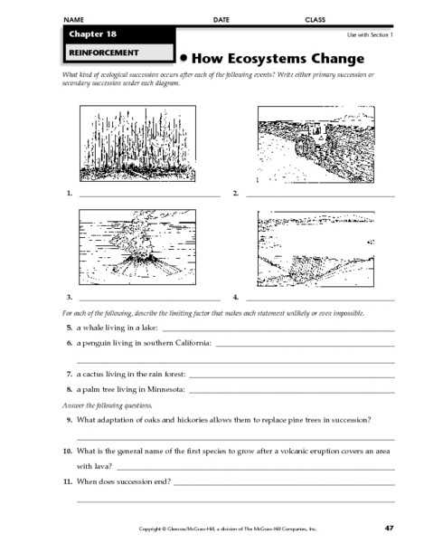 √ 20 Ecological Pyramids Worksheet Answers | Simple Template Design Intended For Ecological Pyramids Worksheet Answers