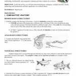 √ 20 Evidence For Evolution Worksheet Answers | Simple Template Design Within Evidence For Evolution Worksheet