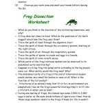 √ 20 Frog Dissection Worksheet Answer Key | Simple Template Design Pertaining To Frog Dissection Worksheet Answer Key
