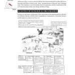 √ 20 Levels Of Ecological Organization Worksheet | Simple Template Design With Levels Of Ecological Organization Worksheet