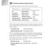 √ 20 Possessive Adjective Spanish Worksheet | Simple Template Design inside Possessive Adjective Spanish Worksheet
