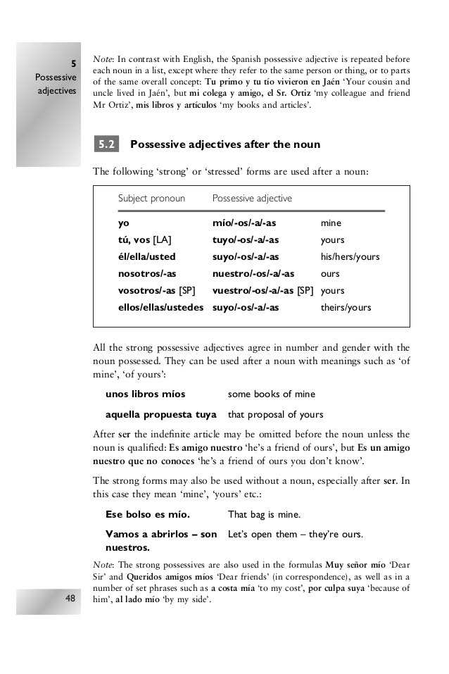 √ 20 Possessive Adjective Spanish Worksheet | Simple Template Design inside Possessive Adjective Spanish Worksheet