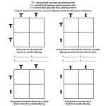√ 20 Punnett Square Practice Worksheet | Simple Template Design With Punnett Square Practice Worksheet
