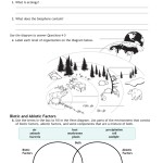 Ecological Levels Of Organization Worksheets – Worksheets Samples Pertaining To Ecology Review Worksheet 1