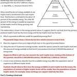 Ecological Pyramid Worksheet Answer With Ecological Relationships Worksheet Answers