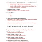 Ecological Relationships Worksheet Key → Waltery Learning Solution For throughout Principles Of Ecology Worksheet Answers
