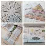 Ecological Succession Worksheet Answer Key With Ecological Succession Worksheet Answer Key