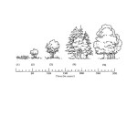 Ecological Succession Worksheet.pdf – Ecological Succession Worksheet Name Date Period Pertaining To Ecological Succession Worksheet High School