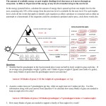 Ecology Practice Worksheet Answers – Ivuyteq Within Ecology Review Worksheet 1