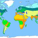 Ecosystem – Maple Trees Intended For World Biome Map Coloring Worksheet