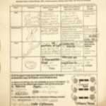 ️Amoeba Sisters Macromolecules Worksheet Answers Free Download| Qstion.co With Regard To Biological Classification Worksheet Answer Key