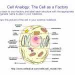 ️Cellsalive Com Worksheet Answers Free Download| Gmbar.co Throughout Cells Alive Worksheet Answer Key