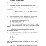 ️I Have Rights Worksheet Answers Free Download| Qstion.co Within I Have Rights Worksheet