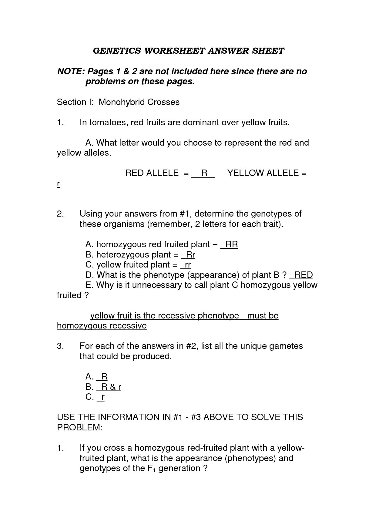 ️I Have Rights Worksheet Answers Free Download| Qstion.co Within I Have Rights Worksheet