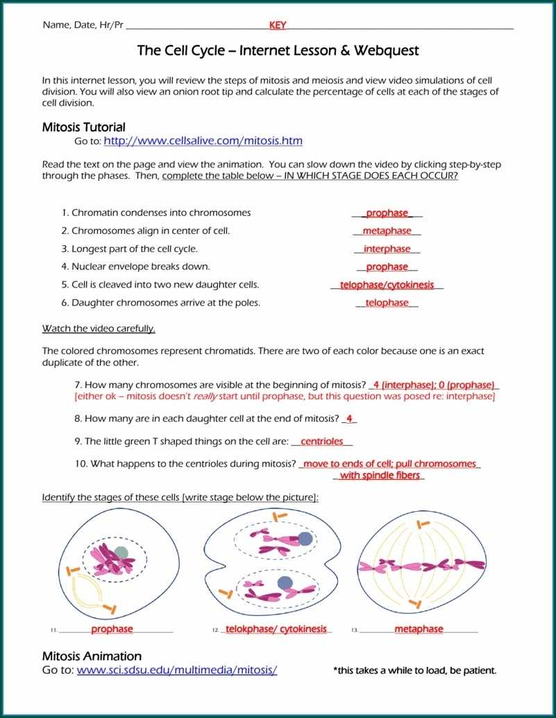 ️Nutrient Cycle Worksheet Key Free Download| Qstion.co pertaining to Nutrient Cycles Worksheet Answers