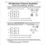 ️Patterns Of Inheritance Worksheet Answers Free Download| Namabayi.co For Blood Type And Inheritance Worksheet