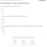 ️Types Of Human Tissue Worksheet Free Download| Gmbar.co throughout Types Of Tissues Worksheet