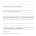 ️What Are Enzymes Worksheet Free Download| Goodimg.co Pertaining To Enzymes Worksheet Answer Key