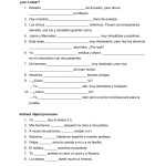 El Verbo Ser Worksheet Answer Key For Ser Estar Worksheet Answers