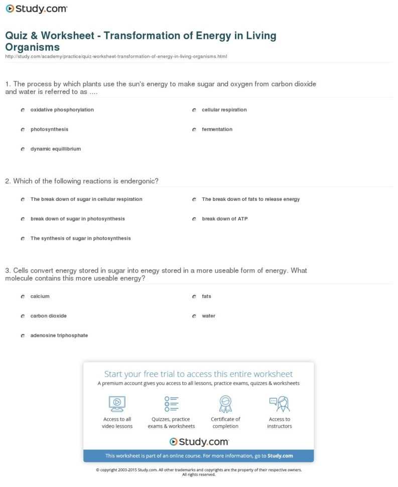 Energy And Energy Transformations Worksheet Answer Key — Db-Excel with regard to Energy Transformation Worksheet Answer Key